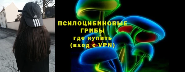 прущие крисы Вяземский
