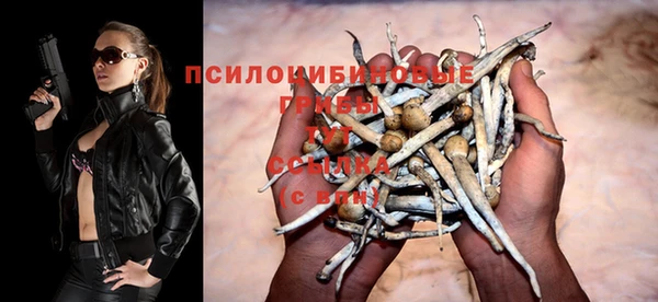 прущие крисы Вяземский