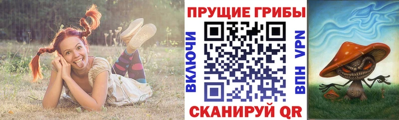 Псилоцибиновые грибы Psilocybe  где купить наркотик  Разумное 